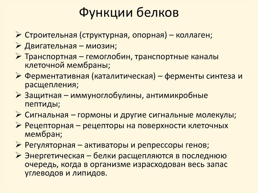 Список функций белков. Важнейшие биологические функции белков. Функции белков химия 10 класс. Основное функции белков. Функции белков биология 8 класс.