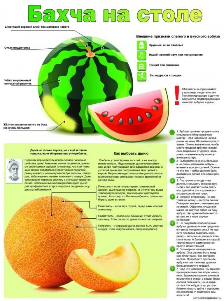 Как употреблять дыню. Как выбрать дыню. как выбрать арбуз. как выбрать вкусный арбуз. как правильно выбрать дыню.