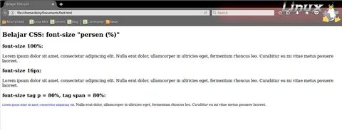 Body css font size