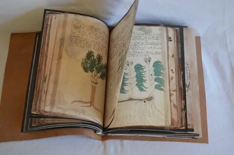 Необыкновенные рукописи художественный мир