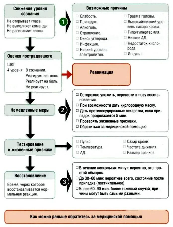 Алгоритм диагностики при потере сознания. Алгоритм действий при потере сознания. Алгоритм оказания первой помощи при обмороке. Диагностический алгоритм потеря сознания. Алгоритм действия перевод