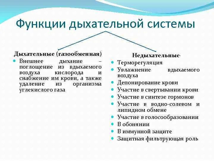 Возможности дыхательной системы