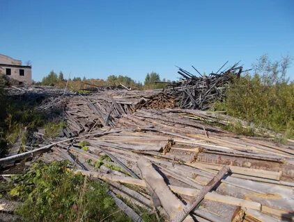 Погода сандово 10 дней