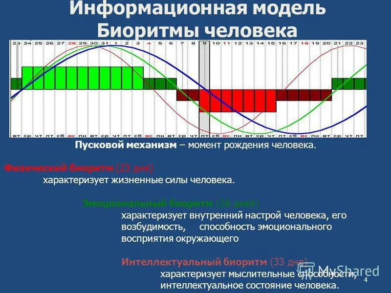 График биоритмов. Биоритмы совместимость. Расчетный график биоритмов человека. Биоритмы совместимость. Биоритмы совместимость.