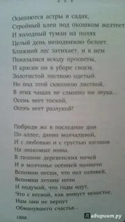 Осыпаются астры в садах стройный клен