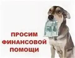 Ась родители просили финансово помочь хотят теплицу