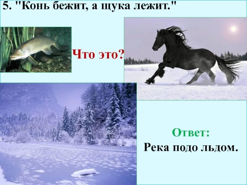 Конь бежит а щука лежит. Конь бежит а шкура лежит отгадка. Не конь а бежит загадка. Загадка про лошадь.
