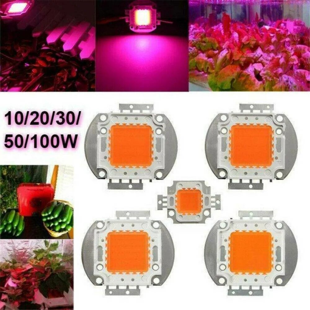 COB светодиод 50w полный спектр. Chip led 220v 50w. Диоды для растений 10вт Double Chip. Светодиодная лампа фито для растений фул спектр диоды 50 ватт круг. Led полный спектр