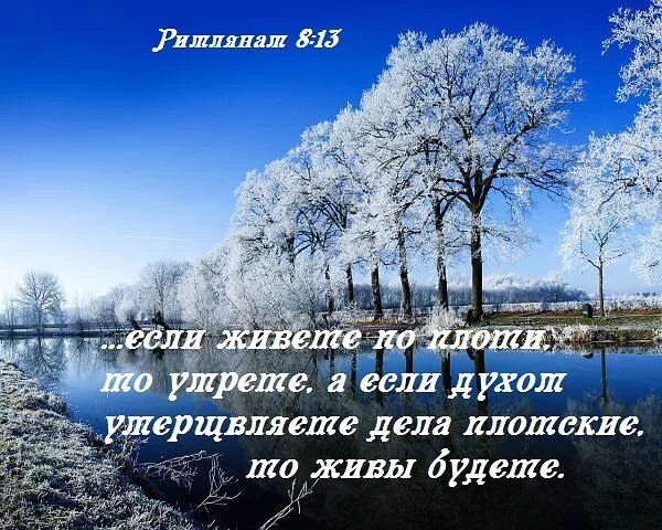 Доброго благословенного дня зимние картинки. Зимней Библейские стихи. Христианские пожелания с добрым утром зимние. Христианские пожелания с добрым утром зимой. Зимние христианские с пожеланиями.