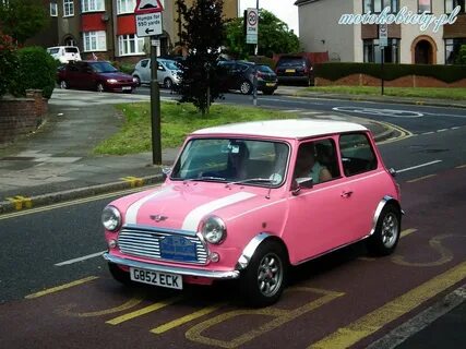 Mini pink