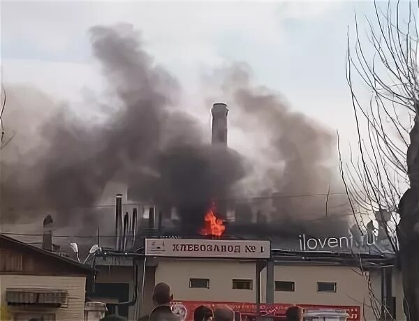 акция скажем пожарам нет 01. оперативная сводка по лесным пожарам. гу мчс по москве с 23 февраля. акции сгорели. акции сгорели.