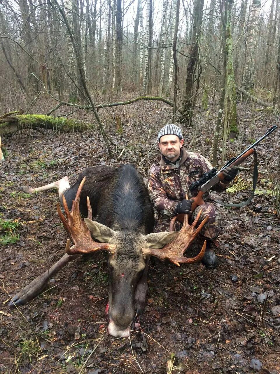 Охотхозяйство смоленской. Охотхозяйство смоленской. Охотничье хозяйство издешково. Никольское охотничье хозяйство. Кабаны охотхозяйство смоленская.