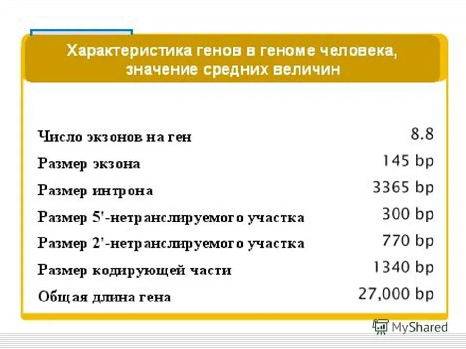 дать характеристику генам