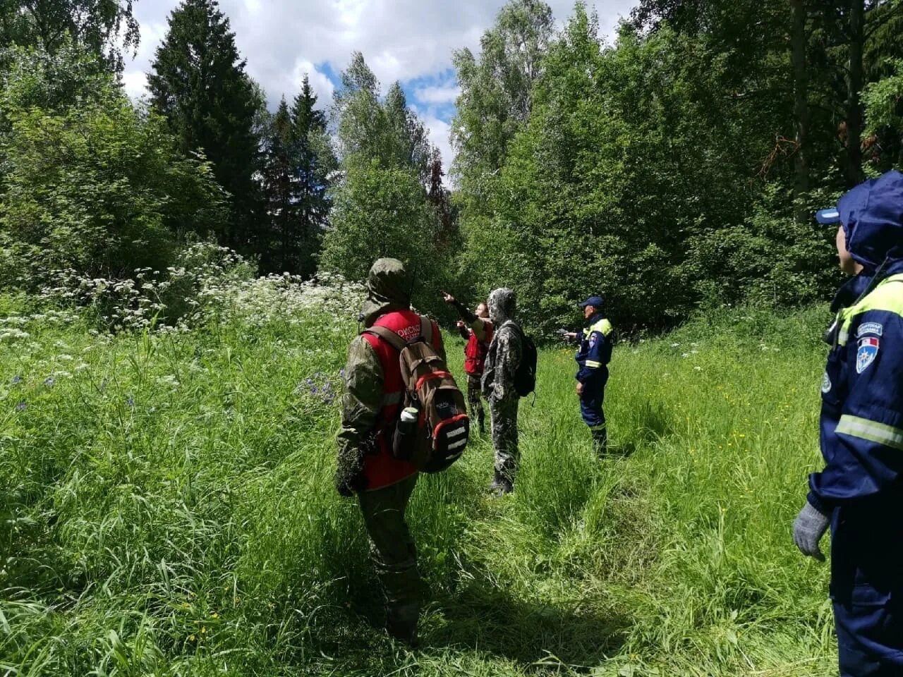 Заблудился в лесу. Спасатели в лесу. Грибы Удмуртии. Уберечь лес от пожара. Грибы утонул