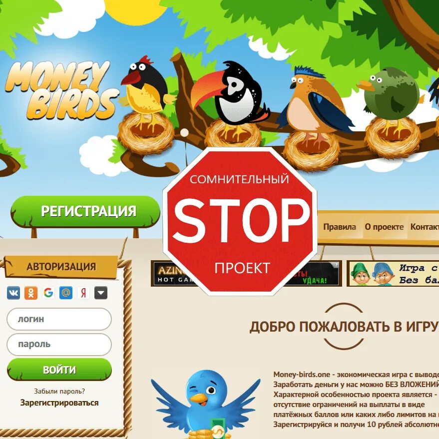 Промокоды bird