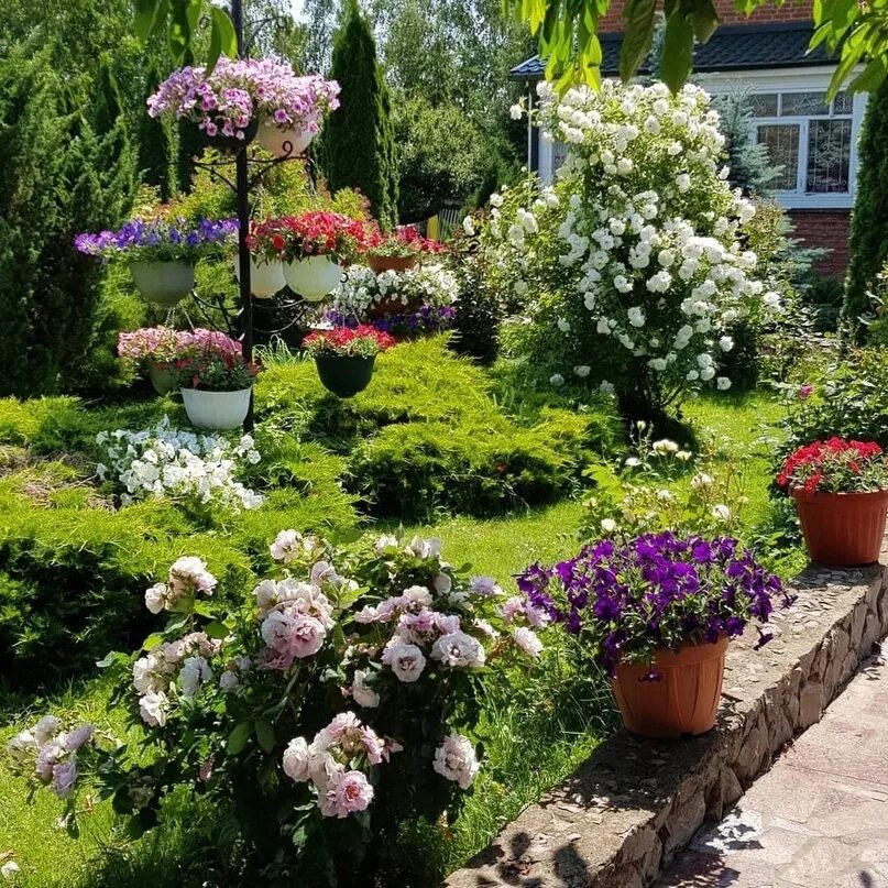 Розарий в саду. Розарий на даче. Английский сад розарий. Розарий ландшафтный.