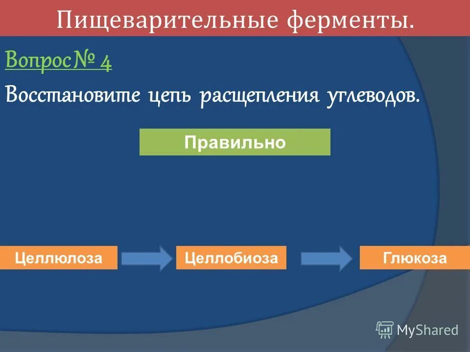 Какими ферментами расщепляются углеводы