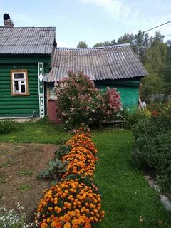 Дом в камешковском районе