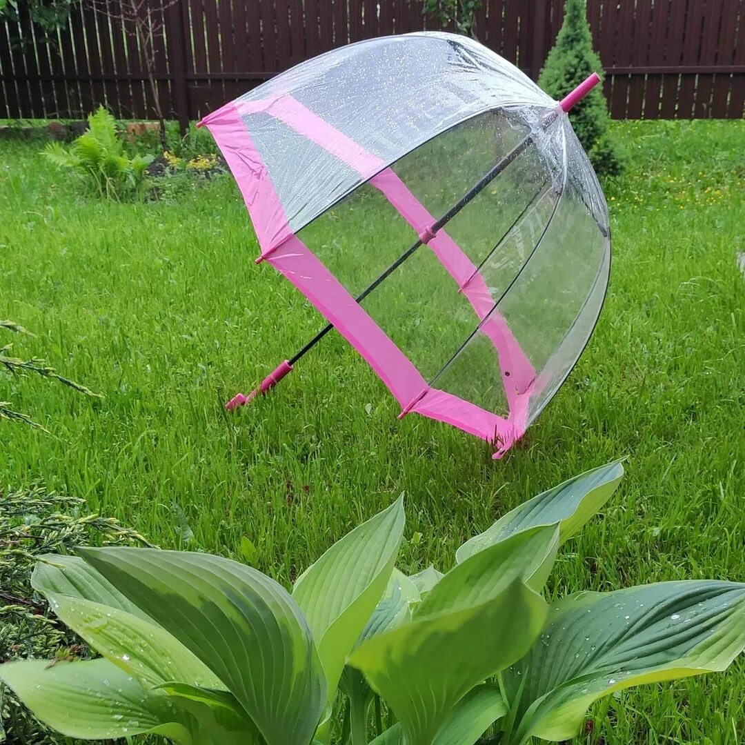 Есть я и ты а все что кроме легко уладить с помощью зонта. Парень и девушка под зонтом. Уладить с помощью зонта. Погода в доме. Легко уладить с помощью зонта.