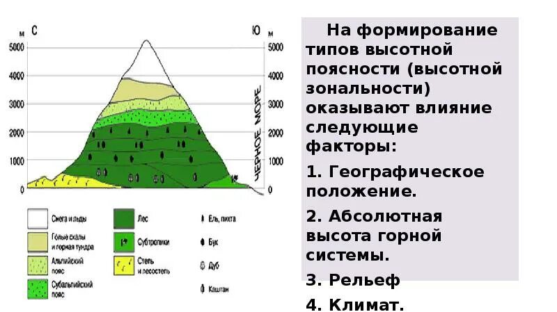 Высотная поясность гор России таблица. Высотная поясность таблица природные зоны. Закономерности ВЫСОТНОЙ поясности. Высотная поясность расположение природных зон. Почему высотная поясность