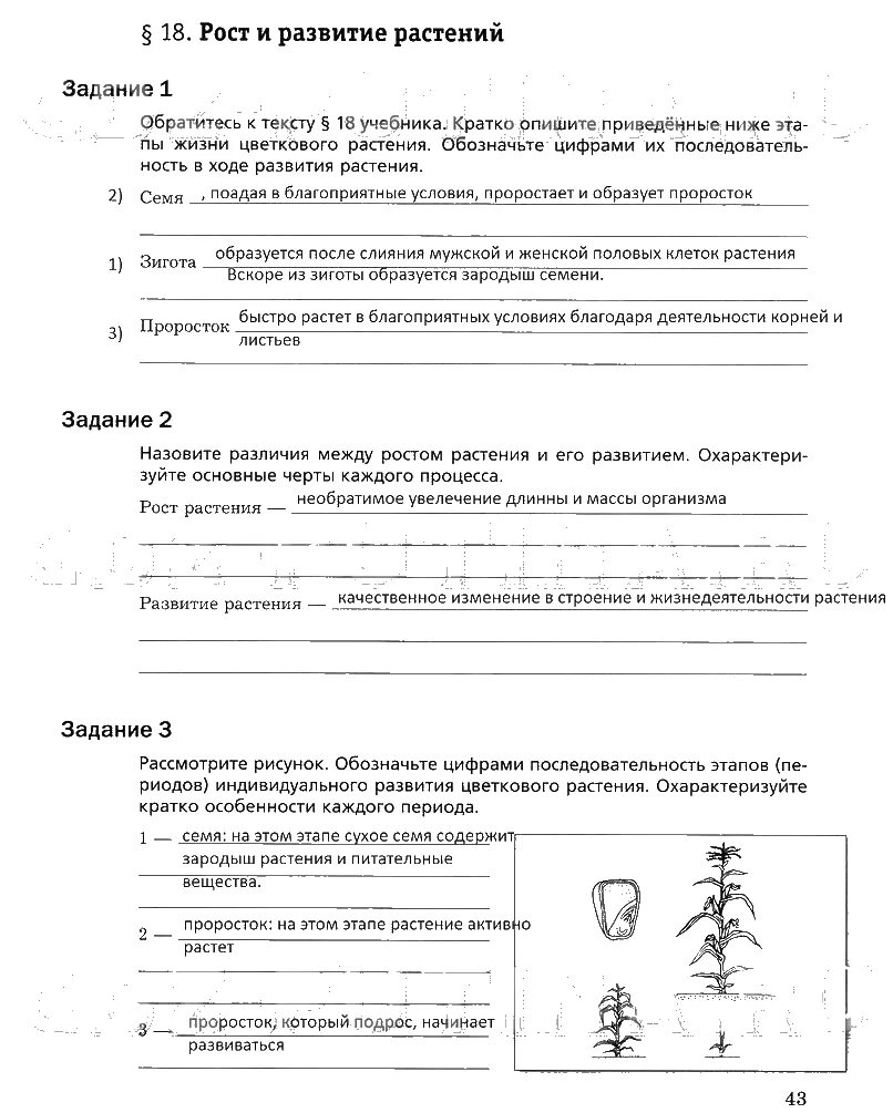 Биология 6 класс тетрадь пономарева ответы. Гдз по биологии 6 класс рабочая тетрадь Пономарева Корнилова. Рабочая тетрадь по биологии 6 класс Пономарева 1 часть. Обозначьте цифрами последовательность стадий развития растений. Биология 6 класс Пономарева Корнилова рабочая тетрадь.