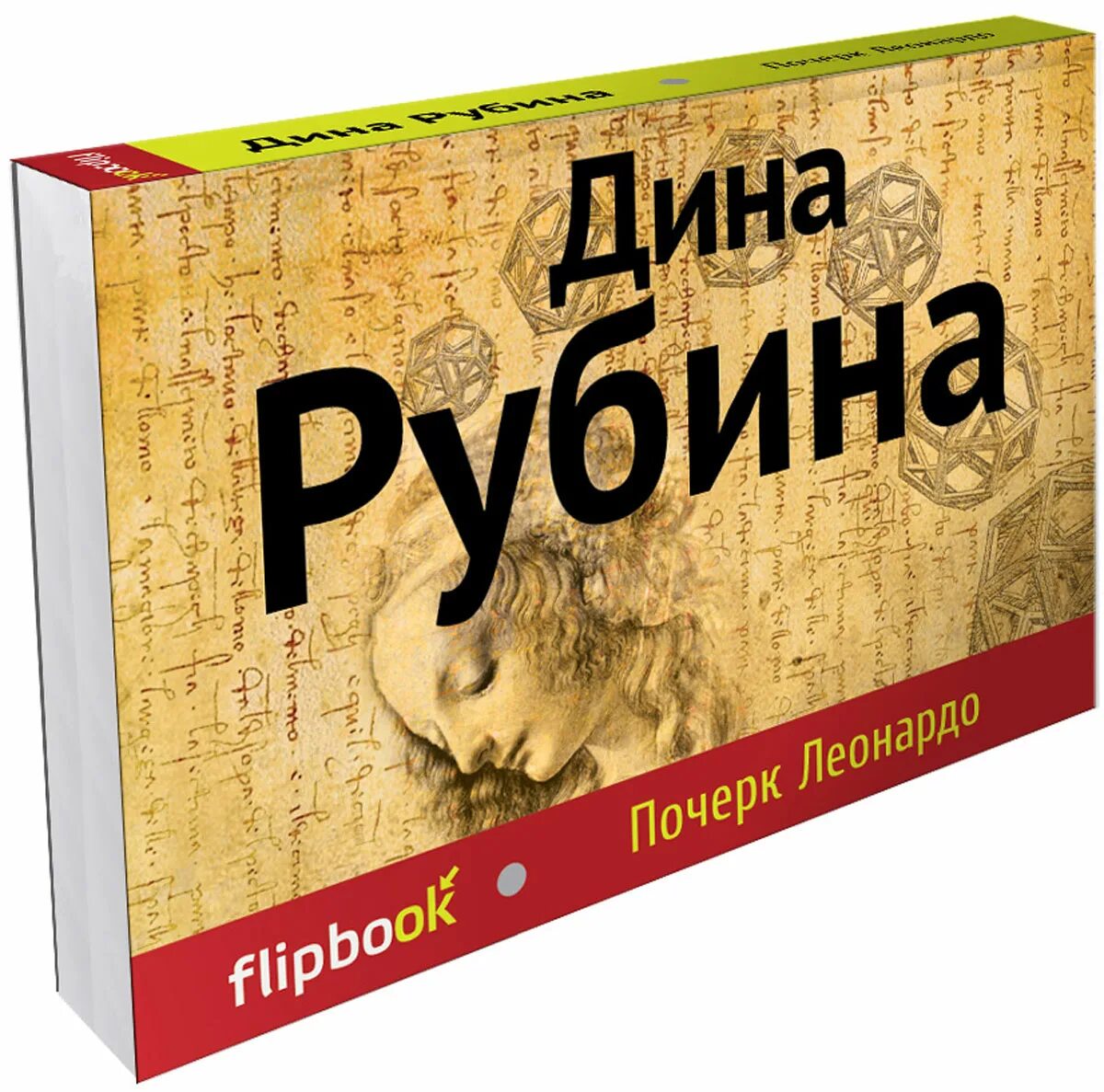 Рубина почерк Леонардо. Иллюстрации к почерку Леонардо Дины Рубиной. Почерк литература