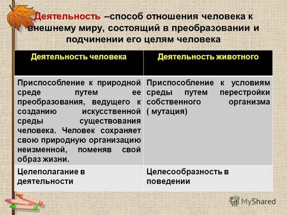 Определенным отношением человека к деятельности. Деятельность это способ отношения человека к внешнему миру. Способ отношения человека к внешнему миру состоящий в преобразовании. Способы деятельности. Способы отношения к внешнему миру.