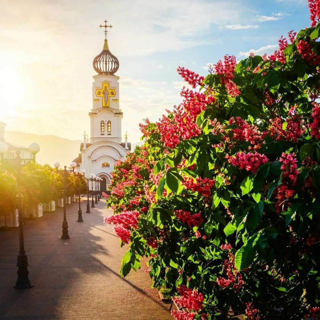 Группа воскресение. Г воскресенье. Г воскресенье. Бульвар черняховского новороссийск цветут каштаны. С прощенным воскресеньем.