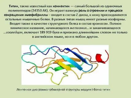 Нерегулярные белки