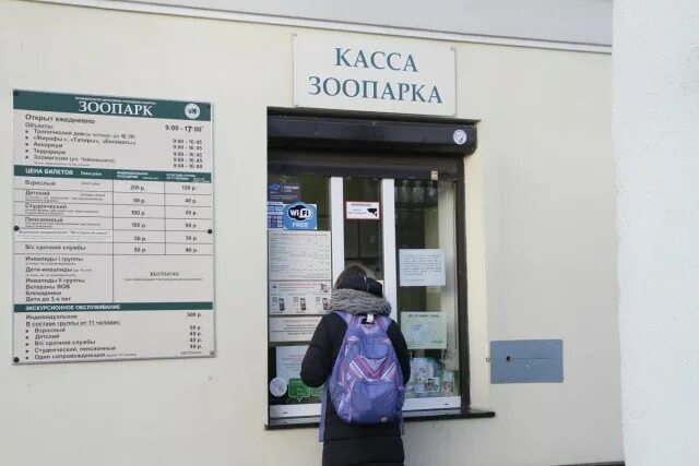 Касса зоопарка. Касса зоопарка на Чайковского Калининград. Московский зоопарк касса. Чайковский зоопарк.