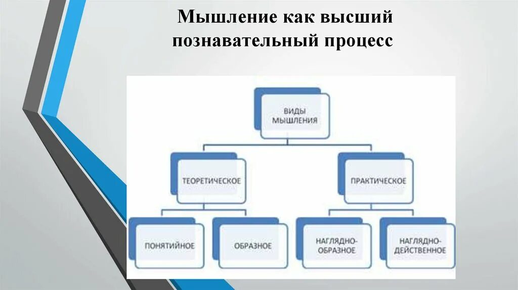 Высший процесс познавательной деятельности человека