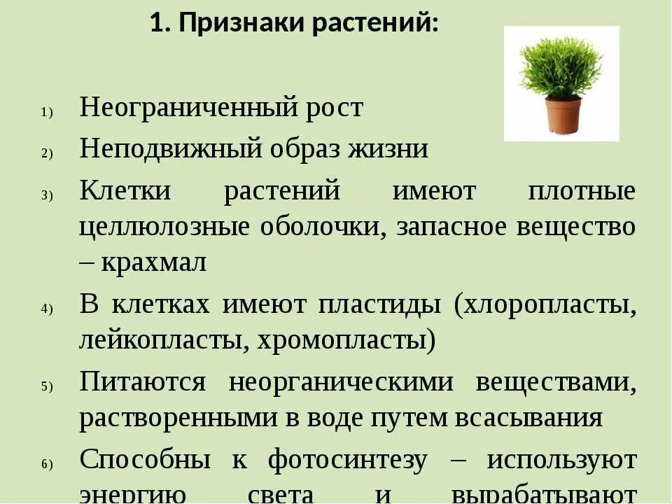 Характеристика растений 5 класс впр. Особенности царства растений 5 класс биология. Общая характеристика растений. Признаки растений. Основная характеристика растений.