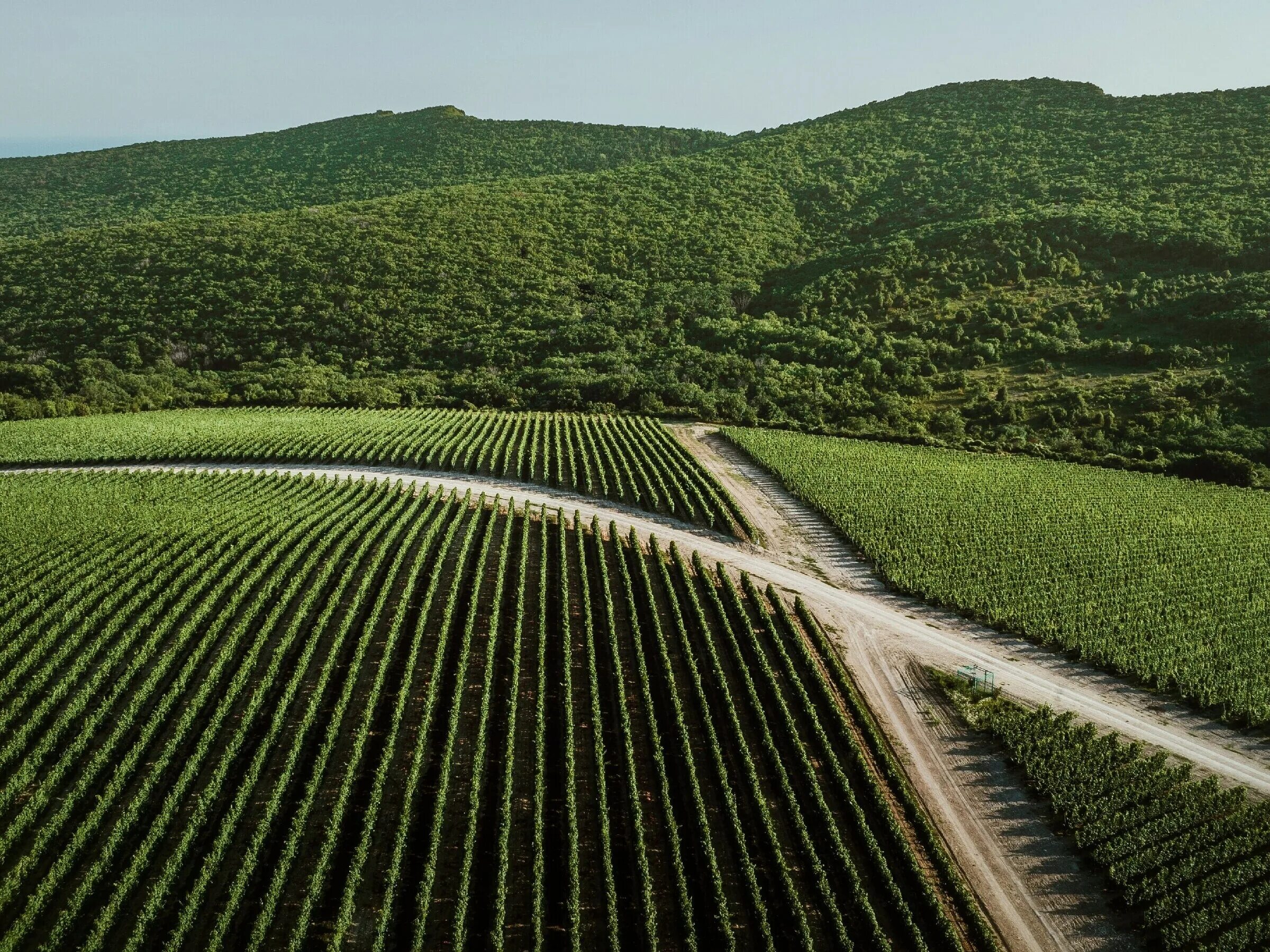гравитационная винодельня анапа. гравитационная винодельня анапа. скалистый берег анапа винодельня. гравитационная винодельня «скалистый берег». винодельня скалистый берег.