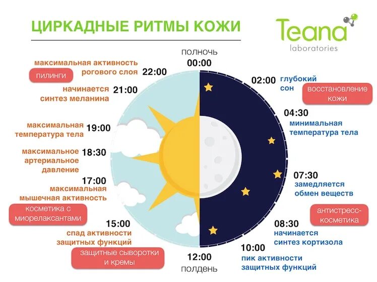 В какое время суток происходит процесс