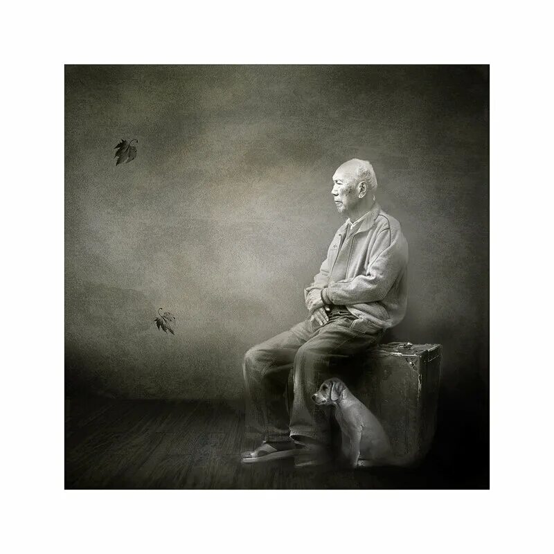 старик уходи. левый пикет. старик уходящий вдаль. старик уходи. старик уходи.