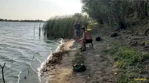 Вода в волге 2020