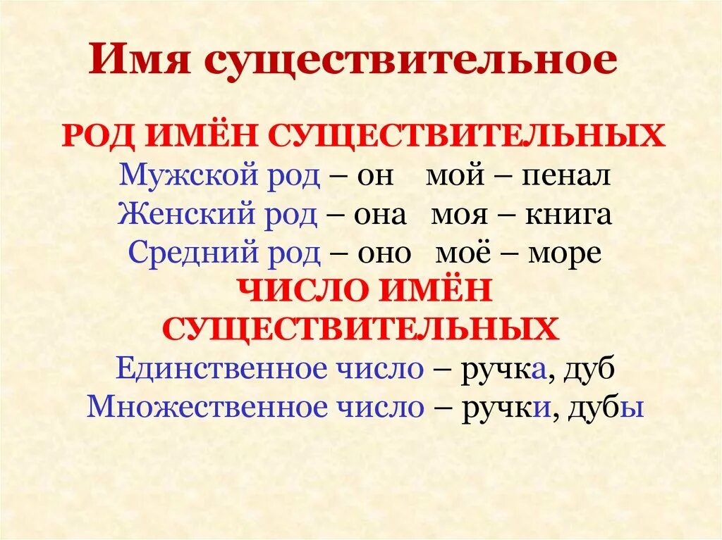 Род число падеж существительных таблица. Род число падеж существительных. Имя существительное род число падеж склонение. Род число падеж имен существительных 5 класс.