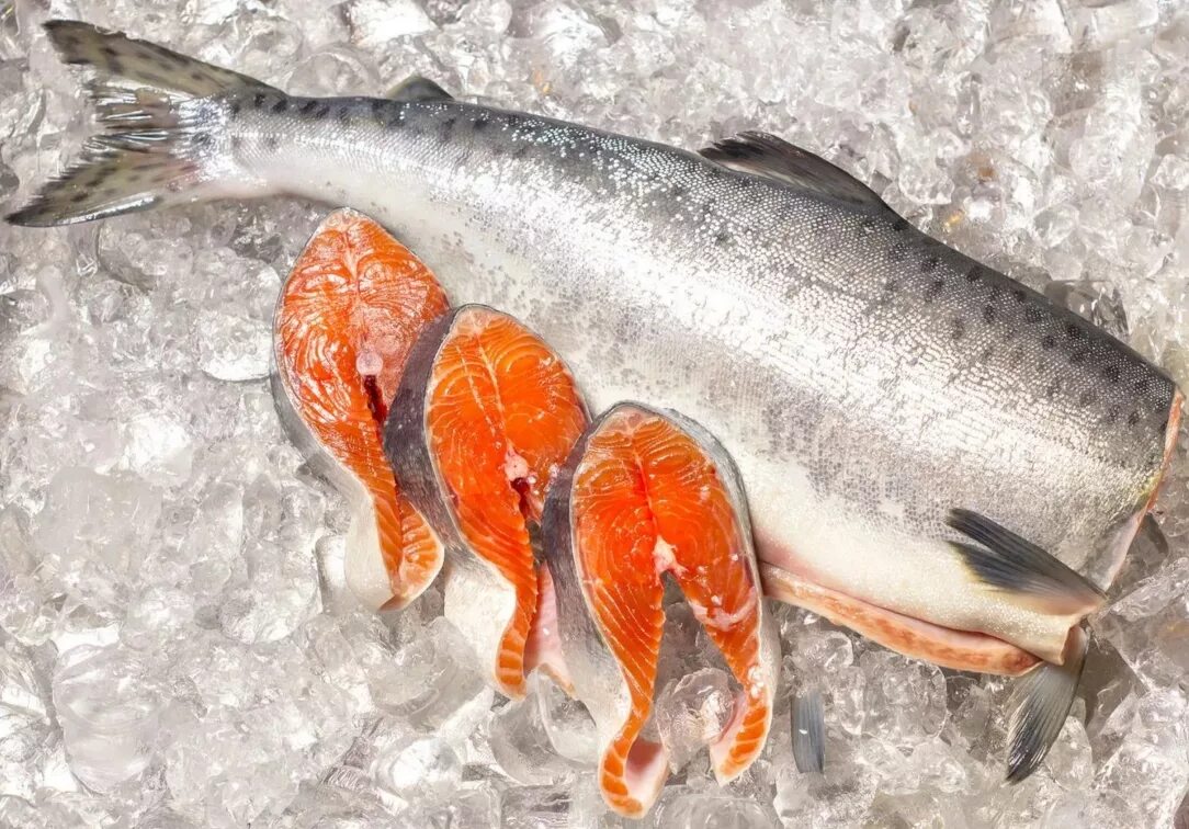 Форель пбг 4-6 1. Кижуч кета горбуша. Красная рыба кижуч. Семга без головы. Кижуч чили премиум.