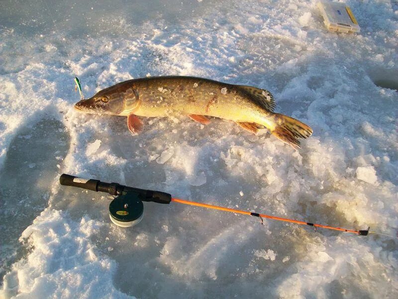 зимняя рыбалка на реке. платная рыбалка зимой. зимняя рыбалка. платная рыбалка зимой. рыбак зимой.