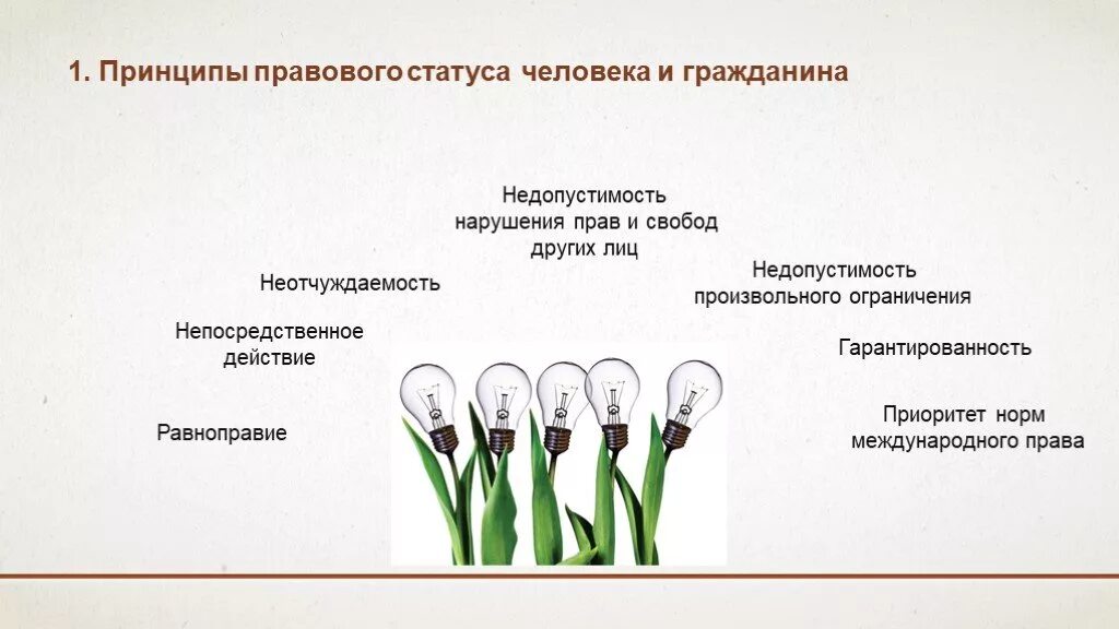 Общий статус гражданина рф. Принципы статуса человека и гражданина. Правовой статус человека и гражданина. Принципы правового статуса человека и гражданина в РФ. Принципы правового положения человека.