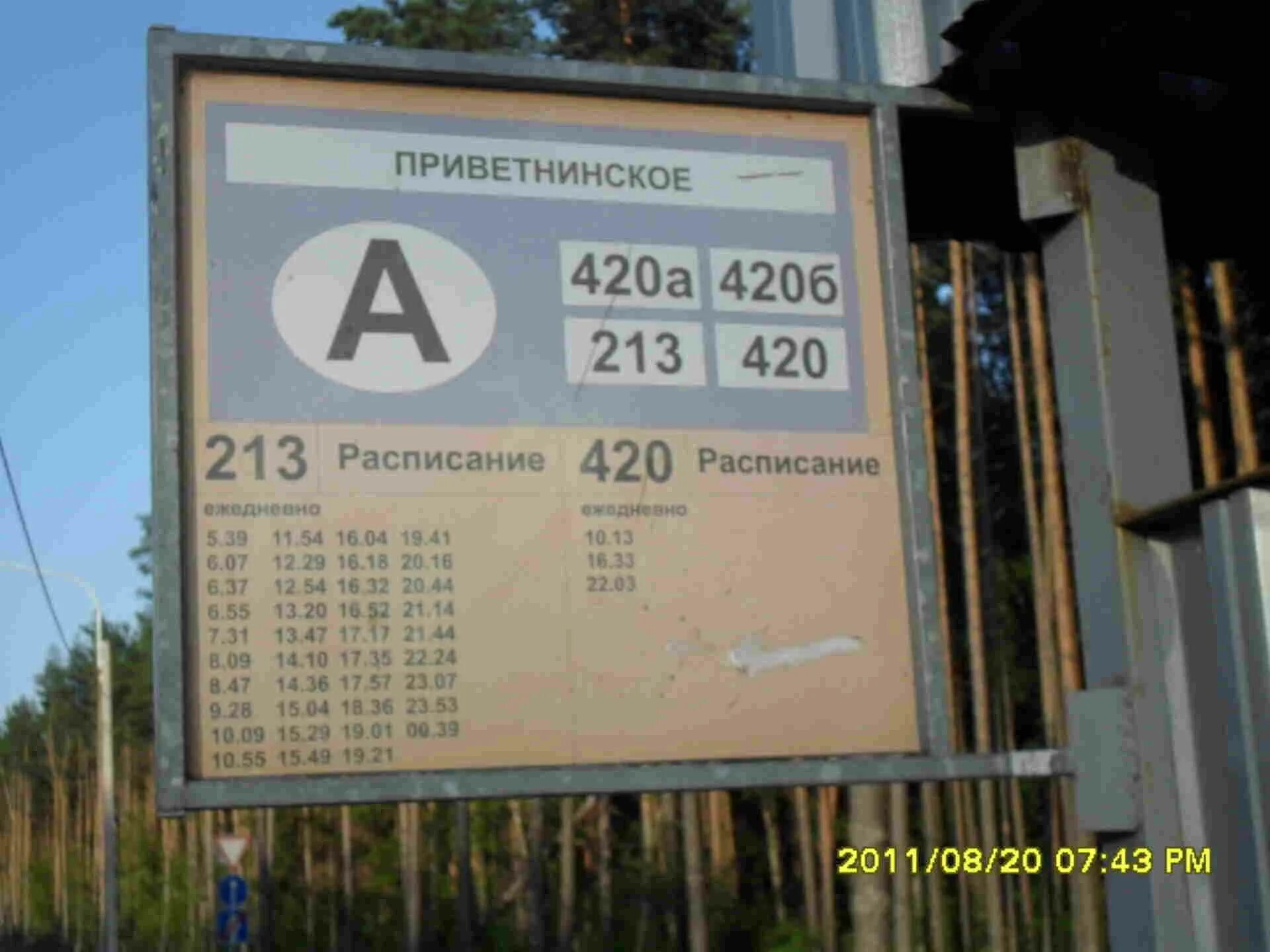 Автобус 420 б. 420 Автобус расписание. Расписание 420 автобуса от Зеленогорска. 420 Автобус Зеленогорск. Расписание 213 автобуса.