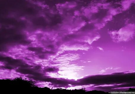 Sky purple (82 лучших фото) .