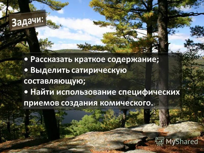 Анализ сказки самоотверженный заяц. Тема сказки самоотверженный заяц салтыков щедрин. Основная мысль самоотверженный заяц. Анализ самоотверженный заяц салтыкова щедрина. Основная мысль самоотверженный заяц.