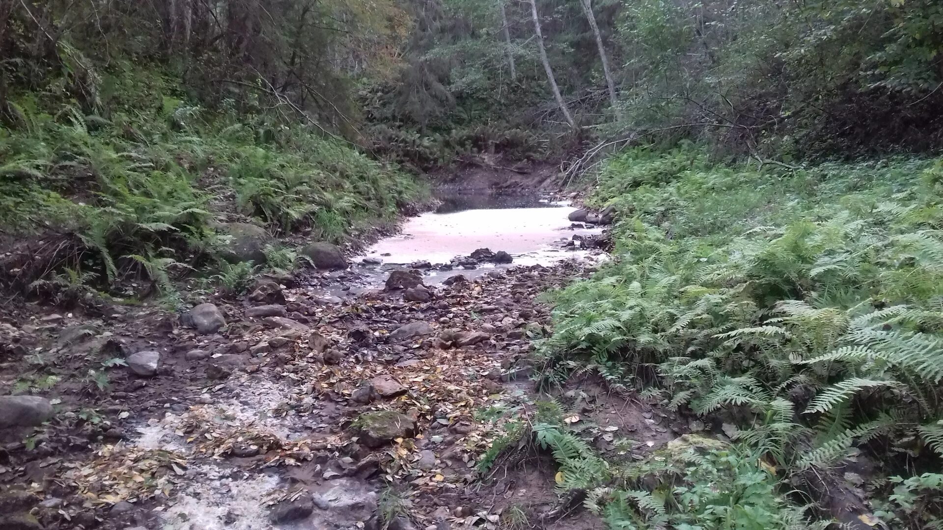 Река ушла под землю. Река рагуша бокситогорский район. долина реки рагуша. каньон реки рагуша. русло исчезающей реки рагуша.