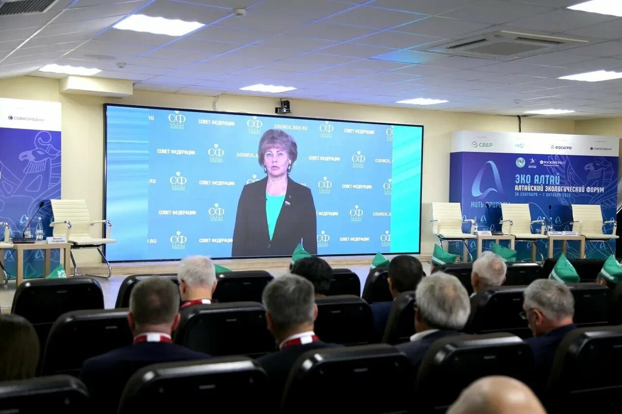 роо содействие. региональная общественная организация содействие. содействие другим. совет федерации политик.