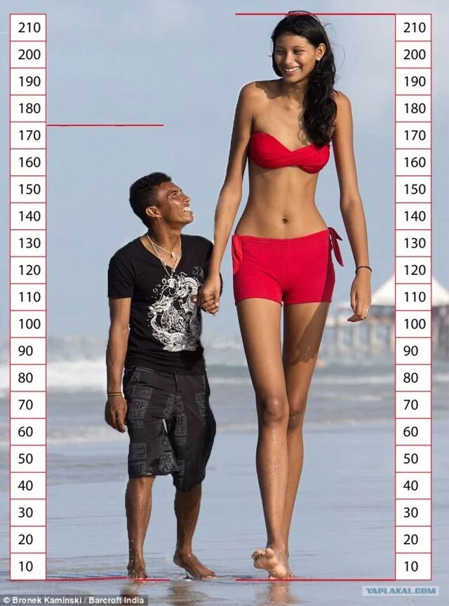 Самая высокая средний. Элисани Сильва 2020. Рост человека см. Разница в росте. Рост метр.