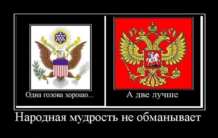 Футболка одна голова хорошо а две лучше. Национальное саркастическое общество. Одна голова хорошо а две лучше. Одина голова хорошо, а две лучше. Иллюстрация к пословице ум хорошо в два лучше.