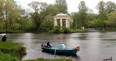 Елагин прокат
