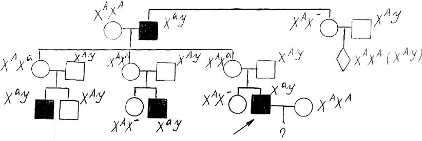 Пробанд с ночной слепотой родословная. Пробанд страдает ночной слепотой его два. Пробанд страдает. Пробанд страдает ночной слепотой. Его два брата также больны.