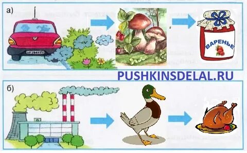 Экологическая безопасность тест 3 класс с ответами